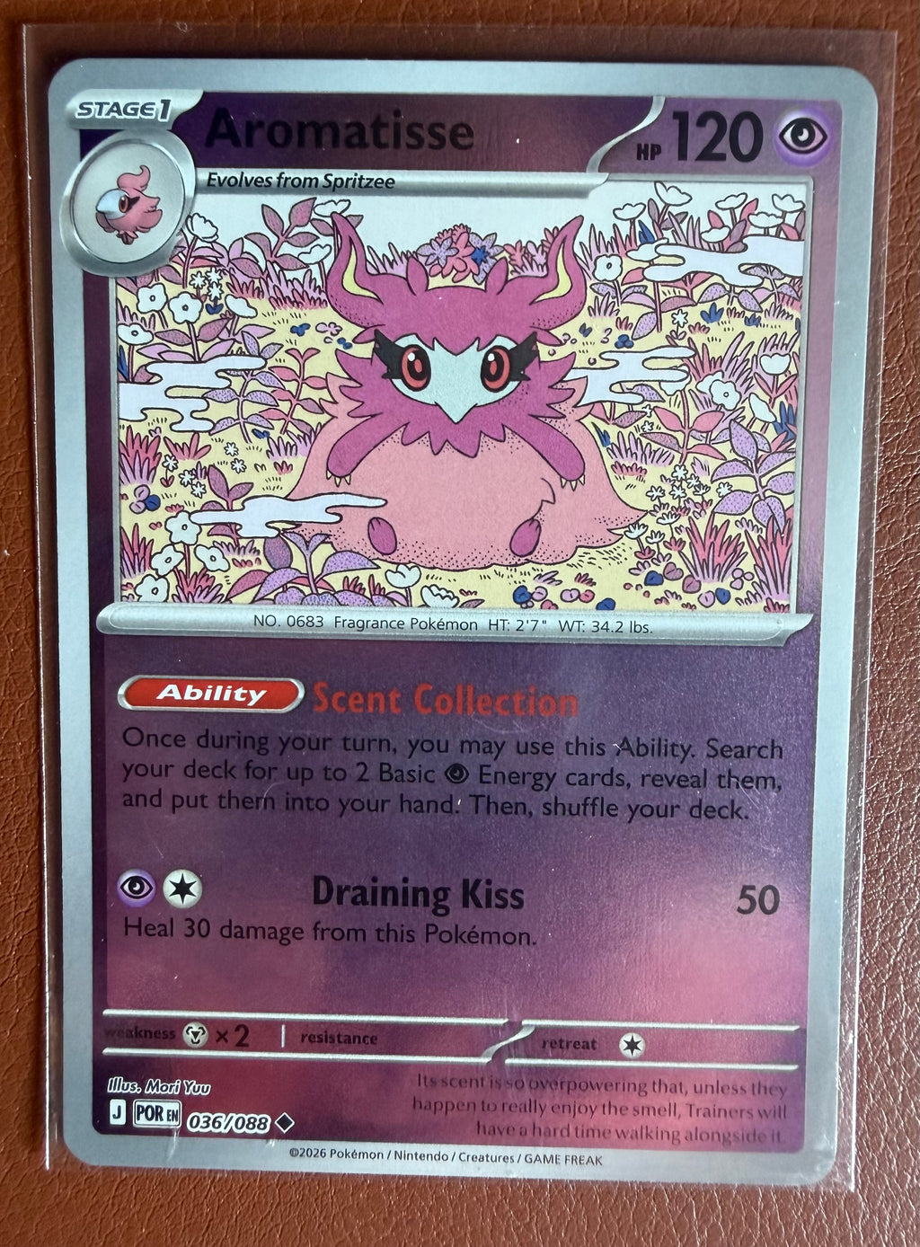 Pokémon Binder Builder Collection - 50 Authentic Cards